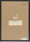 Schuettia trigona (A. Schm.) (de-Toni-Nr.: Genus 234, Species 5644) Zeichnungen Sammlung Grunow Nr. 9628 (NHMW-BOT-W0379557)